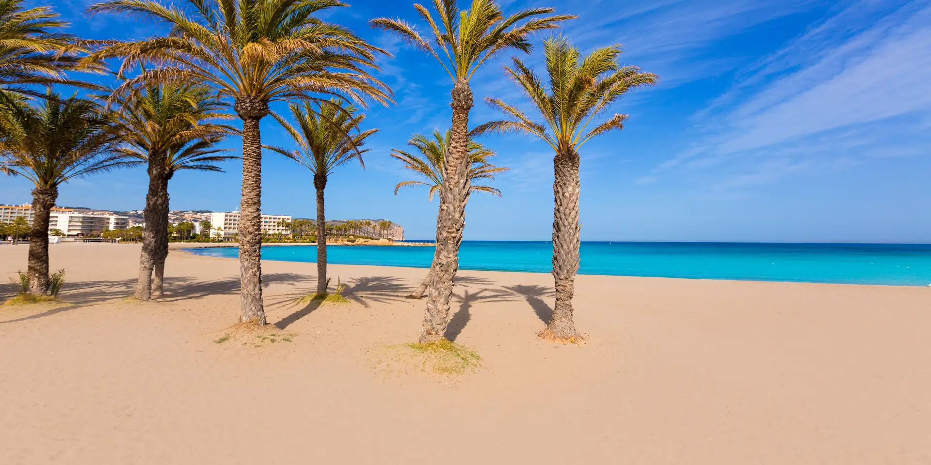 Palmen op het brede zandstrand van het Arenal in Jávea
