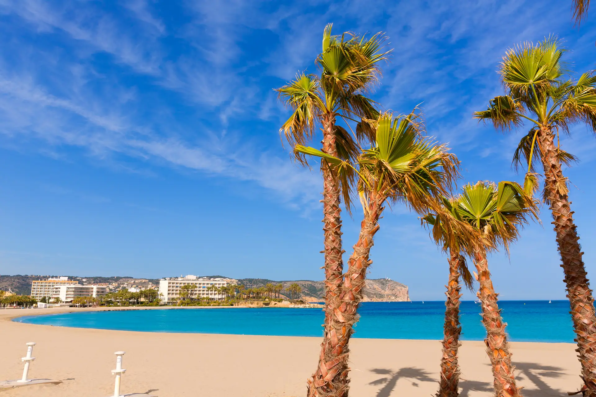 Jávea's Arenal beach with palm trees, with Cap de Sant Antoni in the background